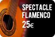 spectacle flamenco