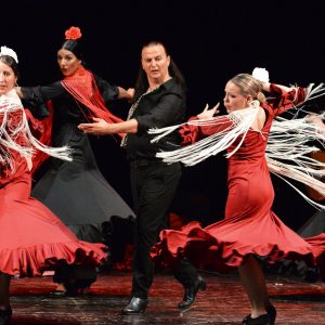 Tickets show flamenco (Copy)